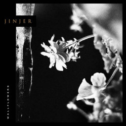 JINJER - WALLFLOWERS - CD