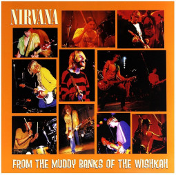 NIRVANA - FROM THE MUDDY BANKS OF TH - CD