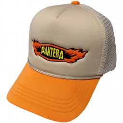 Pantera Unisex Mesh Back Cap: Flames Log