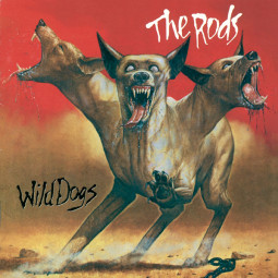 THE RODS - WILD DOGS - CD