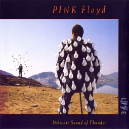 PINK FLOYD - DELICATE SOUND OF THUNDER - CD