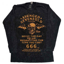 AVENGED SEVENFOLD - SIEZE THE DAY (WASH COLLECTION) (LS) - TRIKO